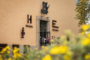 Стокгольм: входной билет в Музей истории Швеции