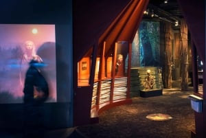 Стокгольм: входной билет в Музей истории Швеции