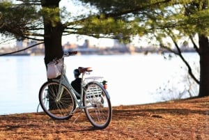 Stockholm: Guidet cykeltur til byens højdepunkter