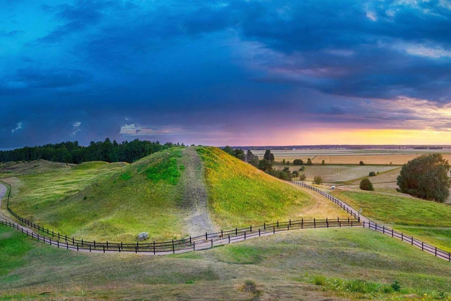 ストックホルム：ウプサラ半日ツアー（スウェーデン語、オックスフォード、大聖堂）