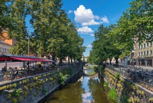 ストックホルム：ウプサラ半日ツアー（スウェーデン語、オックスフォード、大聖堂）