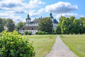 ストックホルム：ウプサラ半日ツアー（スウェーデン語、オックスフォード、大聖堂）