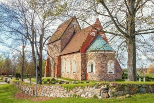 ストックホルム：ウプサラ半日ツアー（スウェーデン語、オックスフォード、大聖堂）