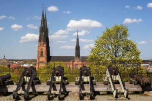 ストックホルム：ウプサラ半日ツアー（スウェーデン語、オックスフォード、大聖堂）