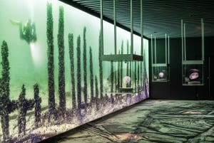 Estocolmo: Entrada combinada al Museo Vasa y al Museo Vrak de los Pecios