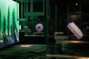 Estocolmo: Entrada combinada al Museo Vasa y al Museo Vrak de los Pecios