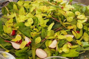 Stockholm Vegetarian, Vegan, and Raw Food Tour