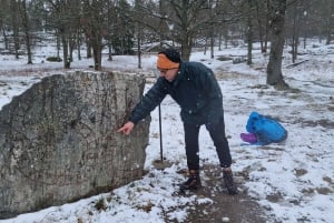 Tukholma: Viking Rune Stones & Grave Fields in urban area.