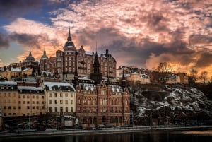 Stockholm VIP full day city tour by limousine in Stockholm