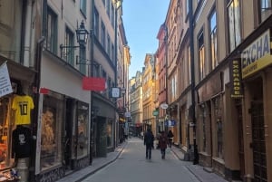 Stockholm: 2-Hour Archipelago Cruise + 2-Hour Walking Tour