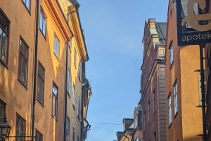 Stockholm: 2-Hour Archipelago Cruise + 2-Hour Walking Tour