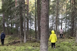 Estocolmo: Safari da Vida Selvagem