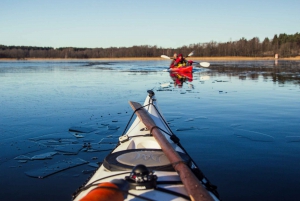 Stockholm: Winter Archipelago Kayaking Experience