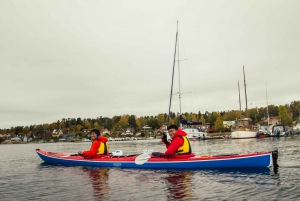 Stockholm: Winter Archipelago Kayaking Experience