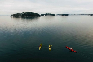 Stockholm: Winter Archipelago Kayaking Experience