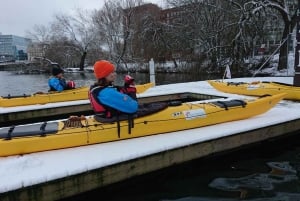 Stockholm: excursion en kayak dans la ville d'hiver