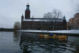 Estocolmo: Excursão de caiaque na cidade de inverno