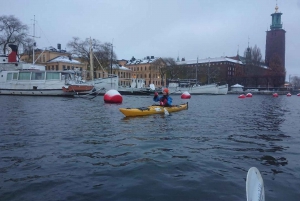 Estocolmo: Excursão de caiaque na cidade de inverno