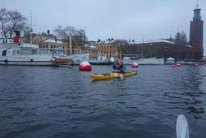 Stockholm: Winter City Kayaking Tour