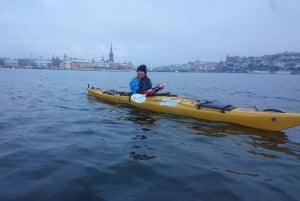 Stockholm: Winter-Kajaktour durch die Stadt