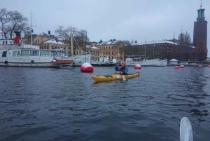 Stockholm: Winter-Kajaktour durch die Stadt