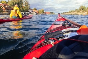 Stockholm : Kayak d'hiver, fika suédois et sauna chaud