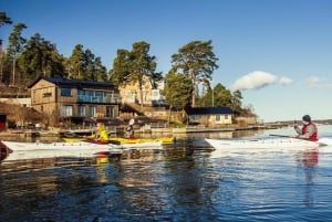 Stockholm: Vinterkajakkpadling, svensk fika og varm badstue