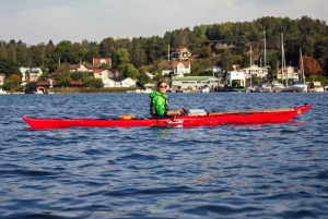 Estocolmo: Kayak de Invierno, Fika Sueco y Sauna Caliente