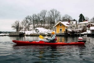 Stockholm: Vinterkajakkpadling, svensk fika og varm badstue