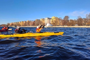 Stockholm: Winter Kayaking Tour through the City Centre