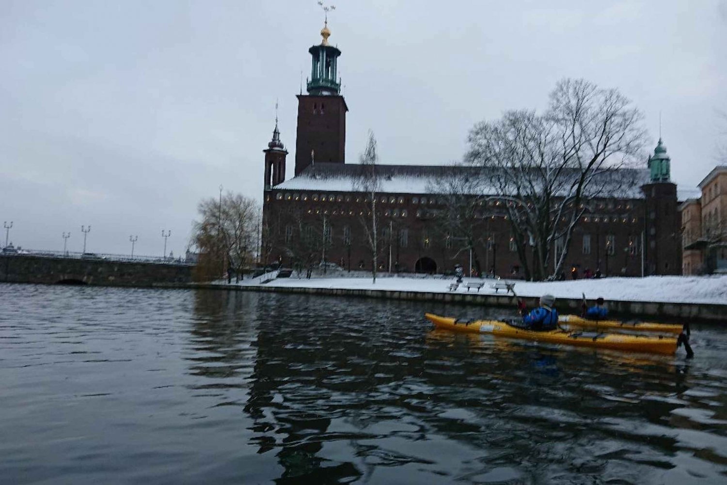 Stockholm: Winter Kayaking Tour with Lunch