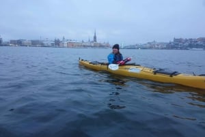 Stockholm: Winter Kayaking Tour with Lunch