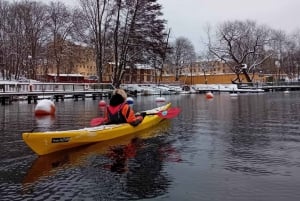 Stoccolma: Tour invernale in kayak con sauna opzionale