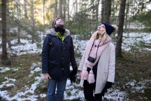 Sztokholm: Zimowa wycieczka przyrodnicza z lunchem przy ognisku