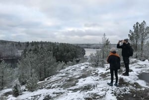 Estocolmo: caminhada na natureza no inverno com almoço na fogueira