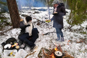 Estocolmo: Excursión invernal por la naturaleza con comida de campamento
