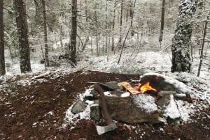 Stockholm: winterwandeling door de natuur met kampvuurlunch
