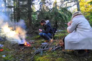 Sztokholm: Zimowa wycieczka przyrodnicza z lunchem przy ognisku