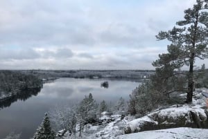 Tukholma: Talvinen luontoretki nuotiolounaalla