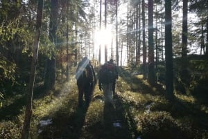 Estocolmo: caminhada na natureza no inverno com almoço na fogueira