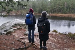 Stockholm: Winter Nature Hike with Campfire Lunch