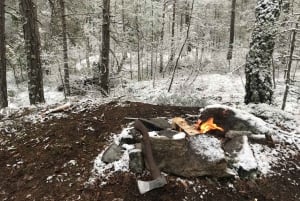 Stockholm: Winter Nature Hike with Campfire Lunch