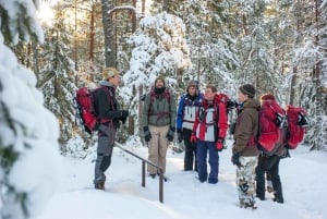 Stockholm: Winter-Schneeschuhwanderung ganztägig