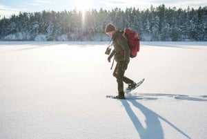 Stockholm: Hel dags vandring med snöskor på naturäventyr