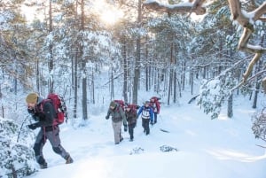 Estocolmo: Excursión de un día con raquetas de nieve en invierno