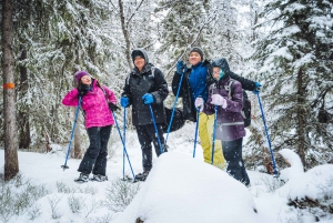 Stockholm: winterwandeling met sneeuwschoenen voor een dag