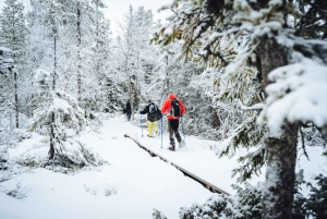 Estocolmo: caminhada de dia inteiro com raquetes de neve no inverno