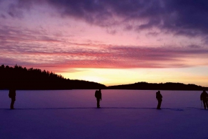 Stoccolma: escursione di 1 giorno sulla neve