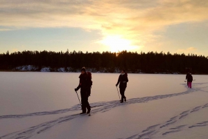Stockholm: Hel dags vandring med snöskor på naturäventyr
