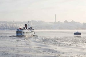 Stockholm: Winter Boat Tour with Guide